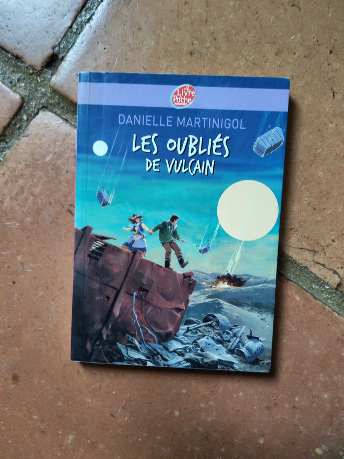 Les oubliés de vulcain, livre de Danielle Martinigol