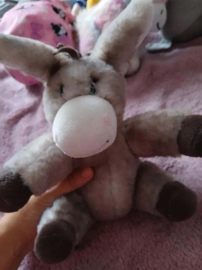 Peluche ane venant de corse