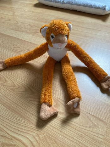 Peluche