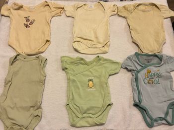 Lot de vêtements : 6 bodys manches courtes taille 3 mois 