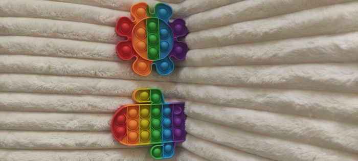 Lot de 2 Pop It (cactus + fleur) – Jamais utilisés