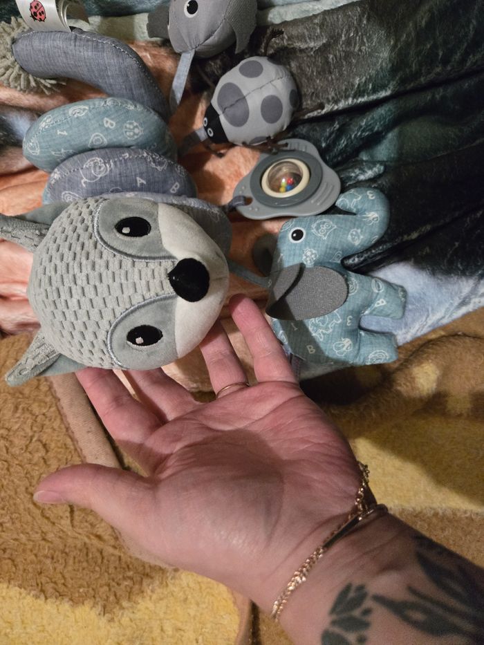 Spirale renard - photo numéro 2