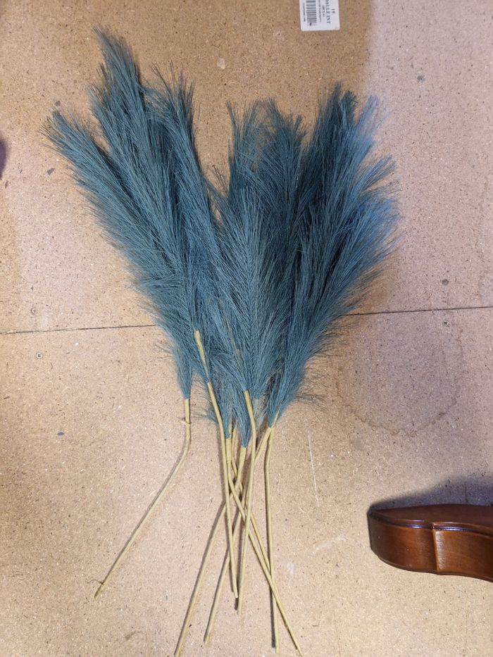 Fleur de pampas