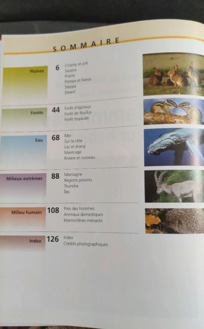 Questions réponses tout savoir sur les mammifères et leur habitat - photo numéro 4