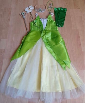 Déguisement robe de princesse fleur 6ans