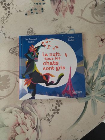 La nuit tous les chats sont gris