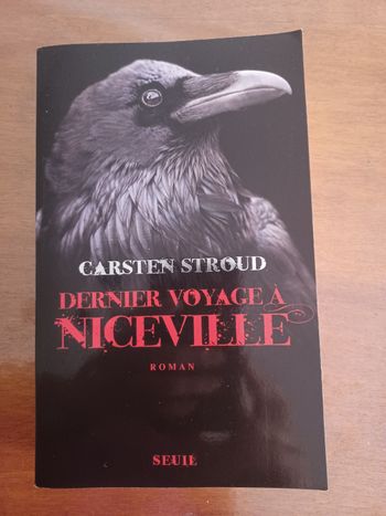 Roman "Le dernier voyage à Niceville"
