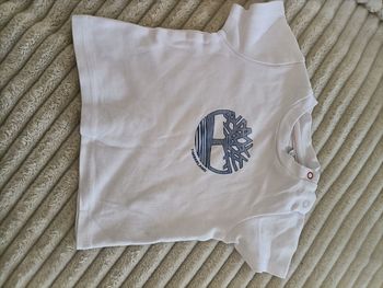 Tee short Timberland