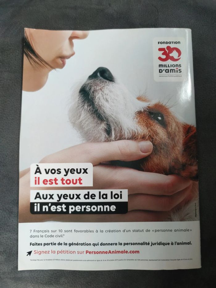 Magazine 30 millions d'amis numéro 381 février 2020 - photo numéro 2