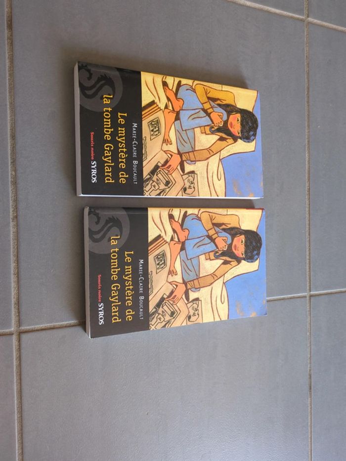 Livre le mystère de la tombe gaylard - photo numéro 1