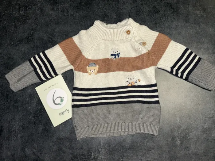 Pull polaire