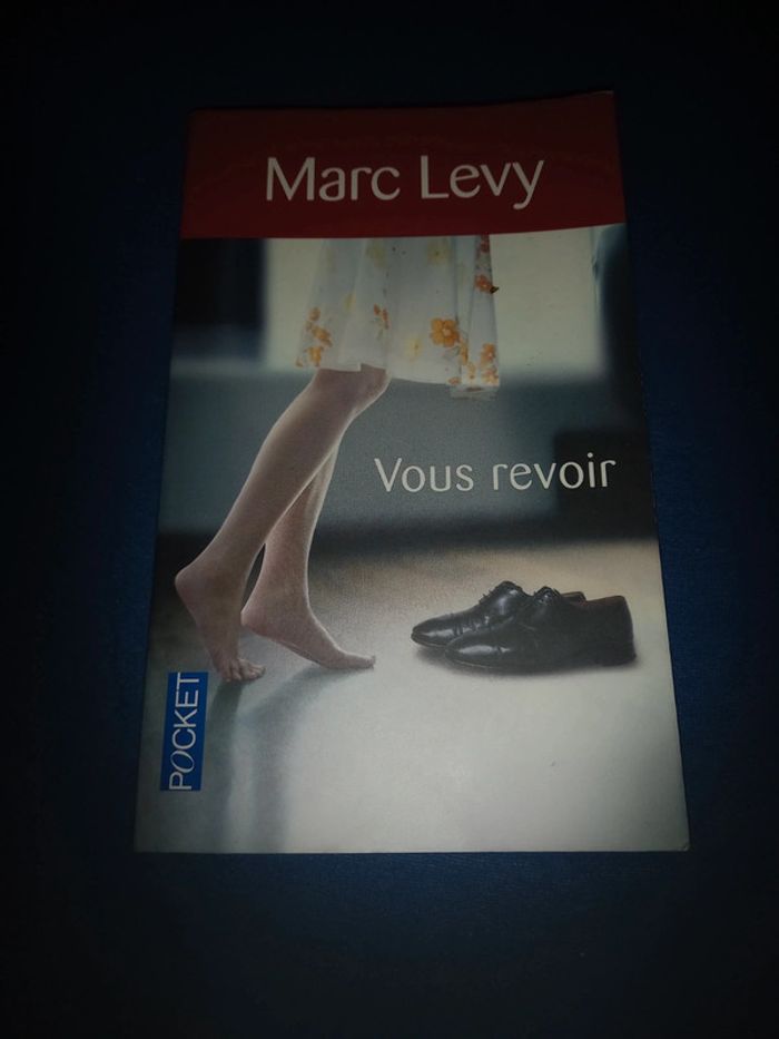 Livre Marc Levy vous revoir