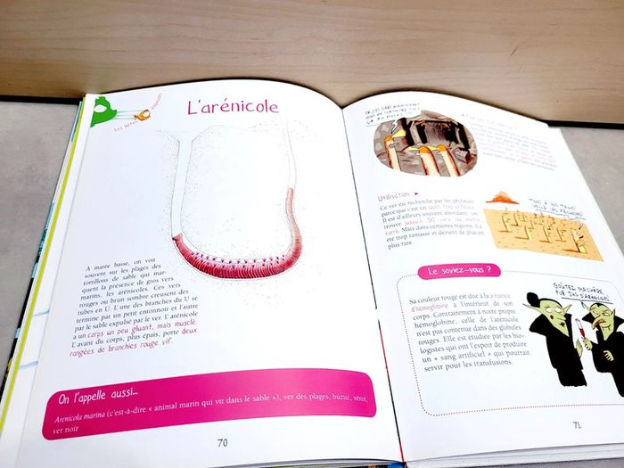 📚 Livre : Les bêtes qui crachent, qui collent, qui croquent à la mer - photo numéro 3