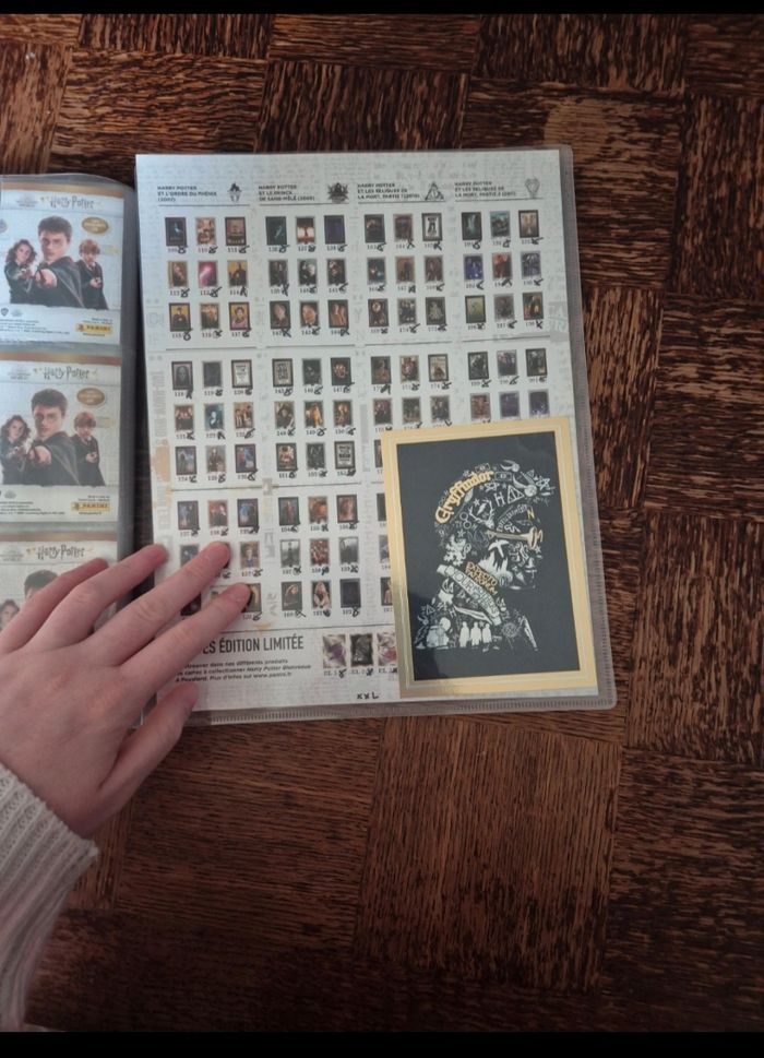 Harry potter panini - photo numéro 8