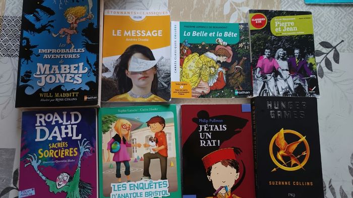 Livre collège lycee 3