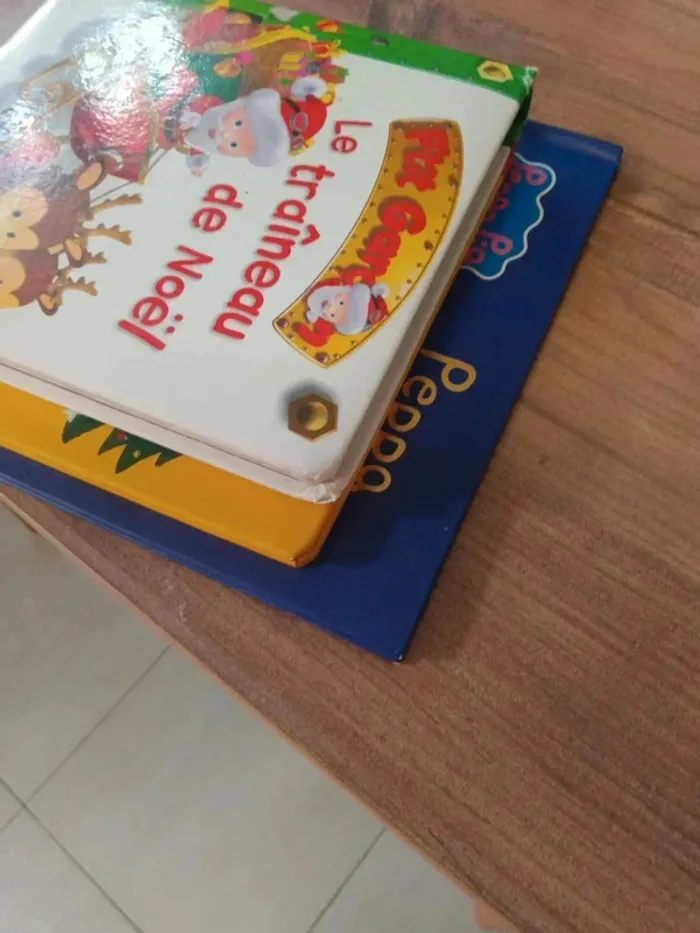 Livre de Noël - photo numéro 14