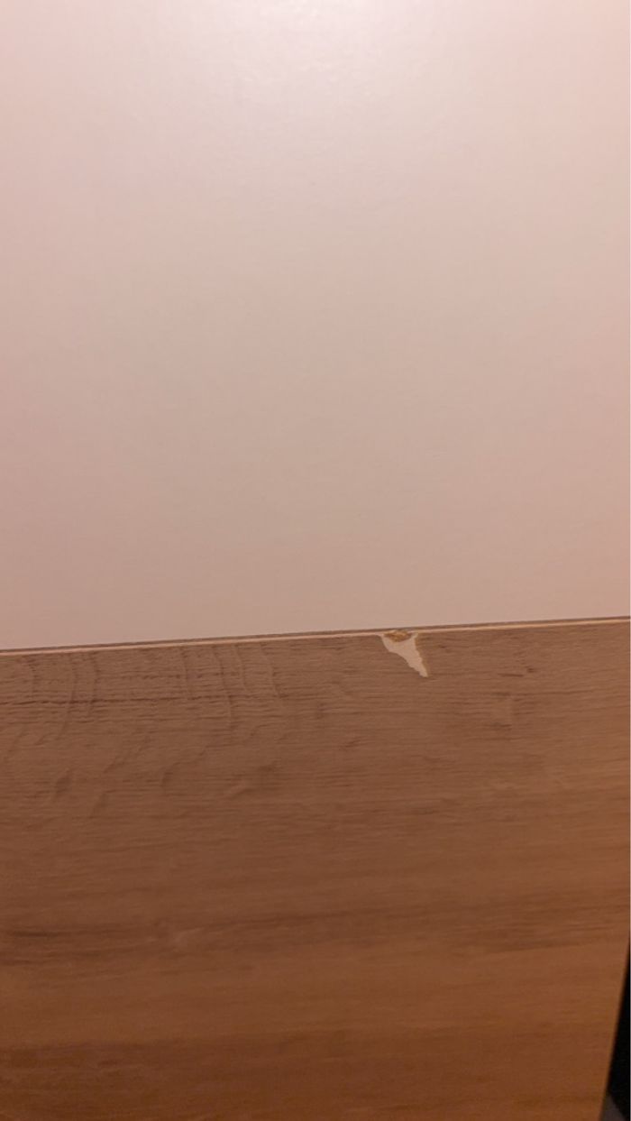 Armoire - photo numéro 4