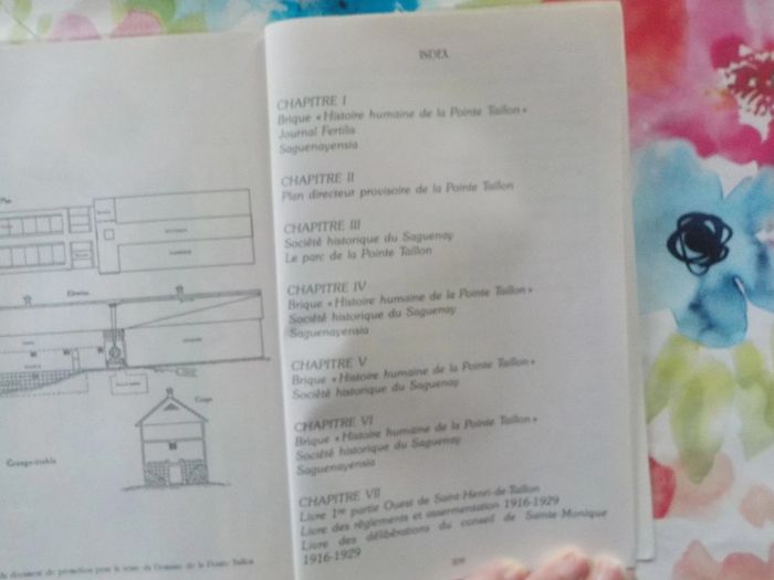 Blessure d'une Terre Récit historique Comité de Promotion de la Pointe Taillon - photo numéro 7