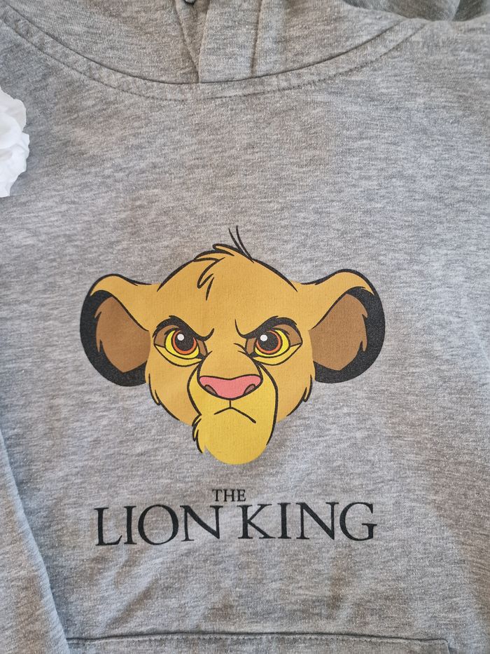 Sweat le roi lion - photo numéro 2