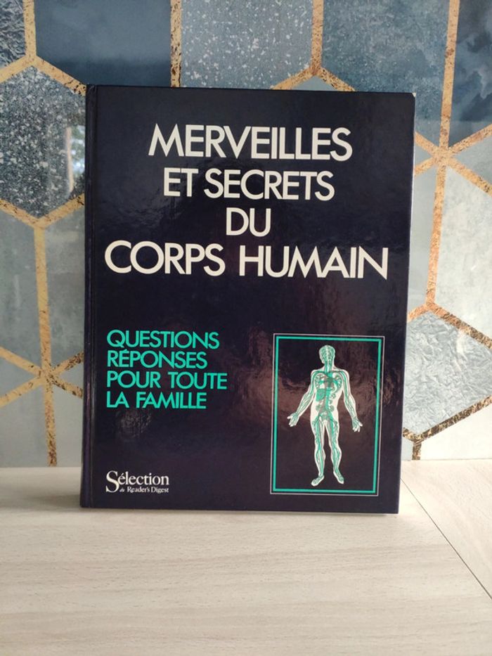 Livre grand format merveilles et secrets du corps humain questions réponses famille
