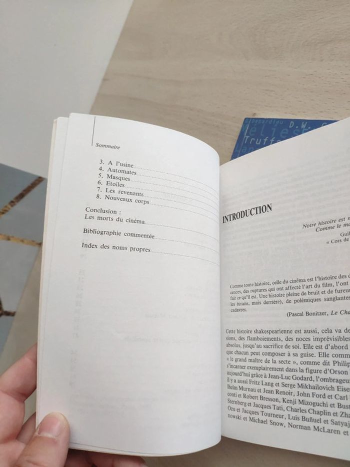 Lot deux livres cinéma en perspective une histoire Leutrat et Auzel essentiels Milan - photo numéro 8