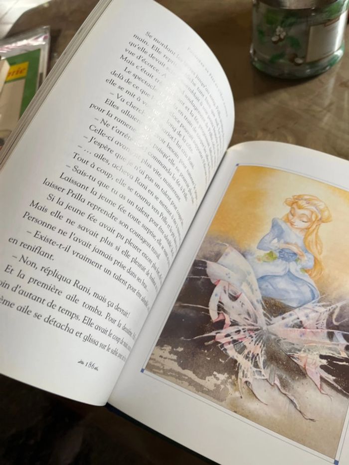 Livre « poussière de Fées et l œuf magique » - photo numéro 2