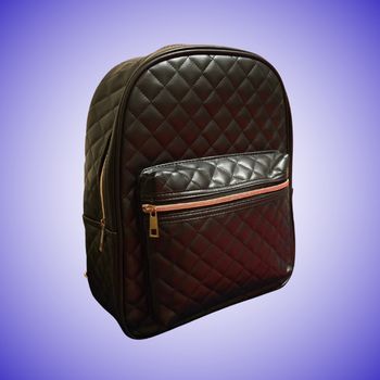 Sac à Dos Femme Similicuir Noir Matelassé Zips et Détails Dorés Chic et Tendance 35 x 12 x 30 cm  Neuf Sans Étiquette 
​