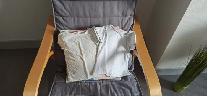 Lot de 2 tee-shirts