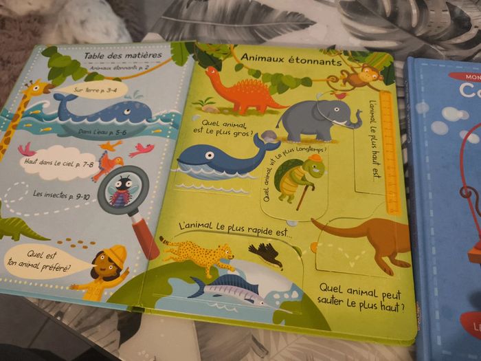 2 albums mon grand livre de reponses - photo numéro 2