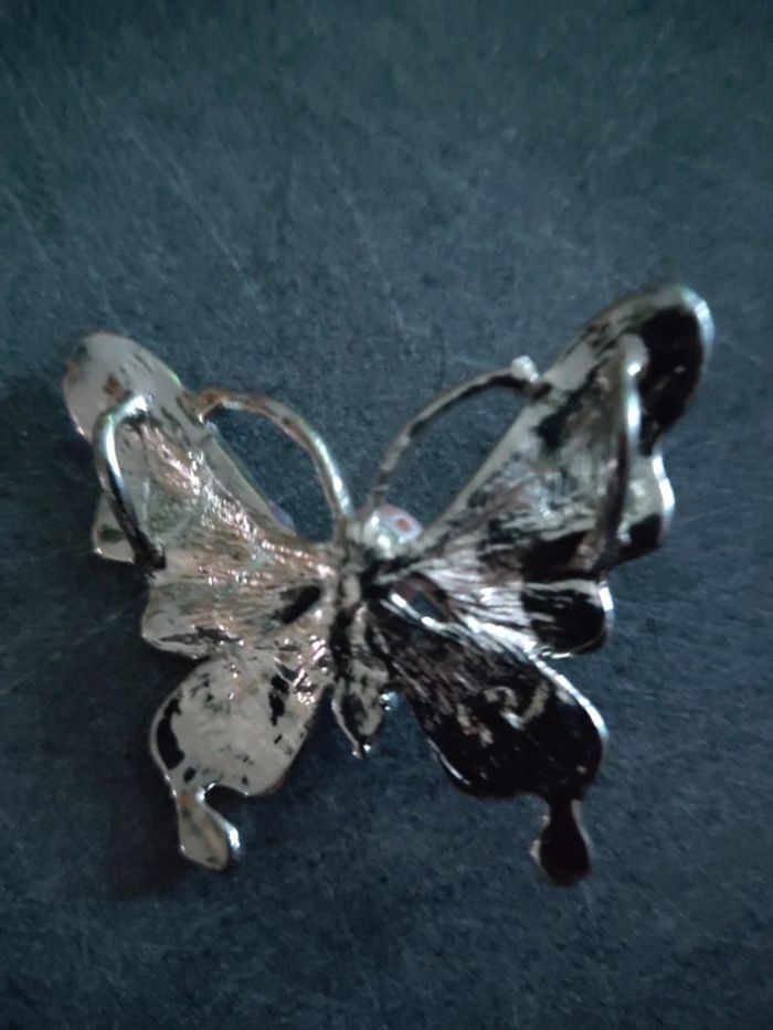 Papillon - photo numéro 2