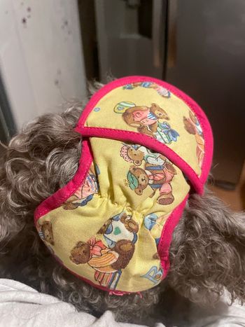 Casquette chien
