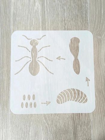 Pochoir du cycle de vie de la fourmi