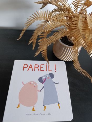 Livre pareil neuf pages cartonnées