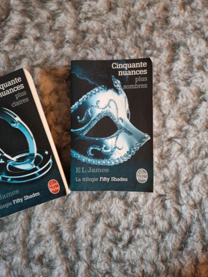 Fifty shades plus sombres et plus Claires - photo numéro 3