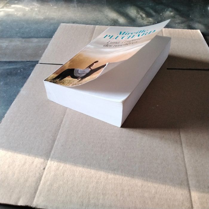 Luna, l’ enfant des roselières Mireille Pluchard - photo numéro 3