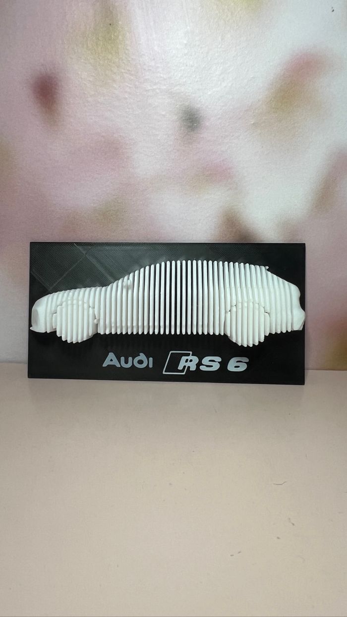 Sculpture Audi RS6 - photo numéro 3