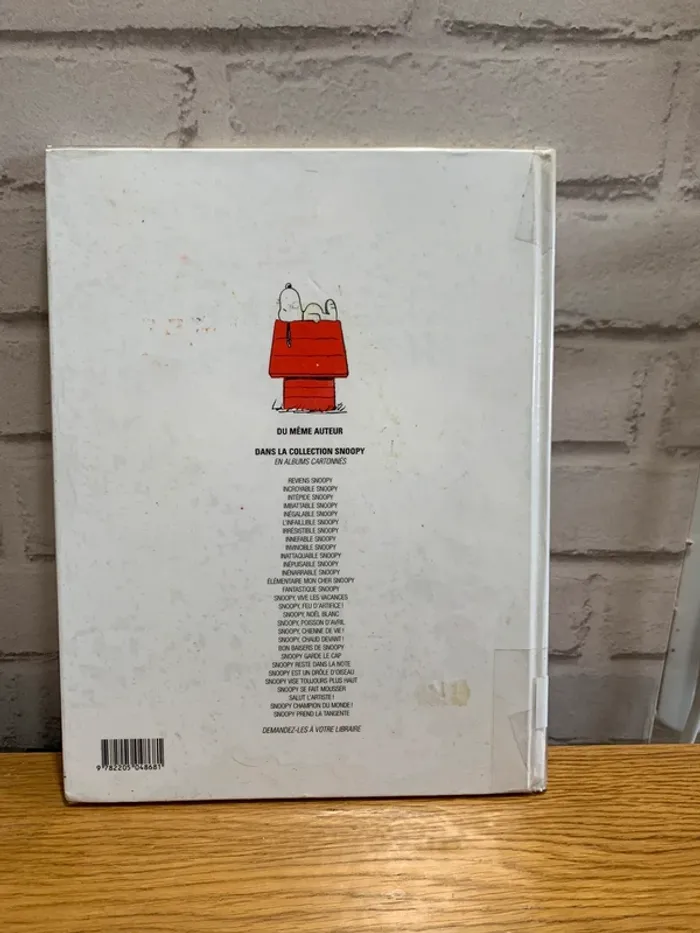 Snoopy prend la tangente - photo numéro 2