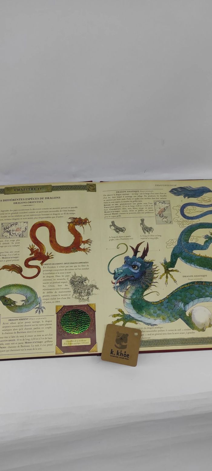 Coffret Dragon ( Livre et playmobil) - photo numéro 2