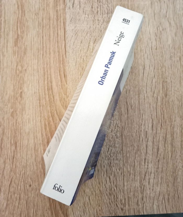 Orhan Pamuk 🪅 Neige - photo numéro 3