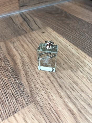 Porte clés en verre signes du zodiaque Verseau