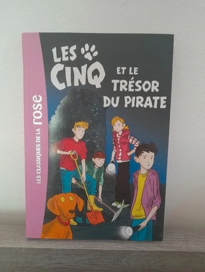 Livre les cinq et le trésor du pirate