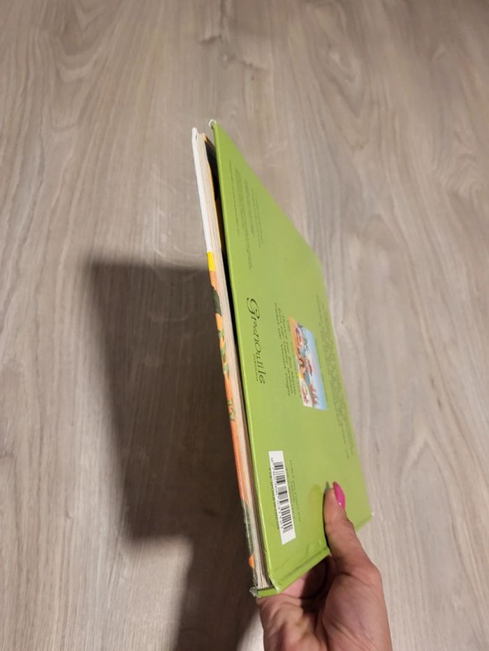 Livre la vallee des dinosaures de grenouille éditions - photo numéro 7