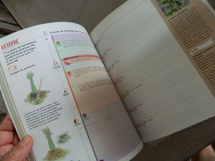Mon jardin autosuffisant "Editions Marie -Claire" - photo numéro 2