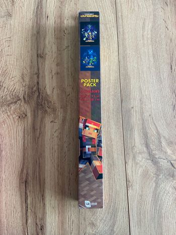 Lot de 2 posters Minecraft Dungeons
