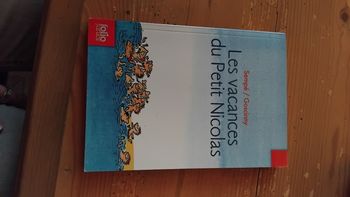 Les vacances du petit Nicolas 