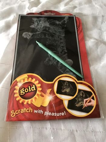 Kit créatif à gratter  scratch Art Chat doré avec stylet