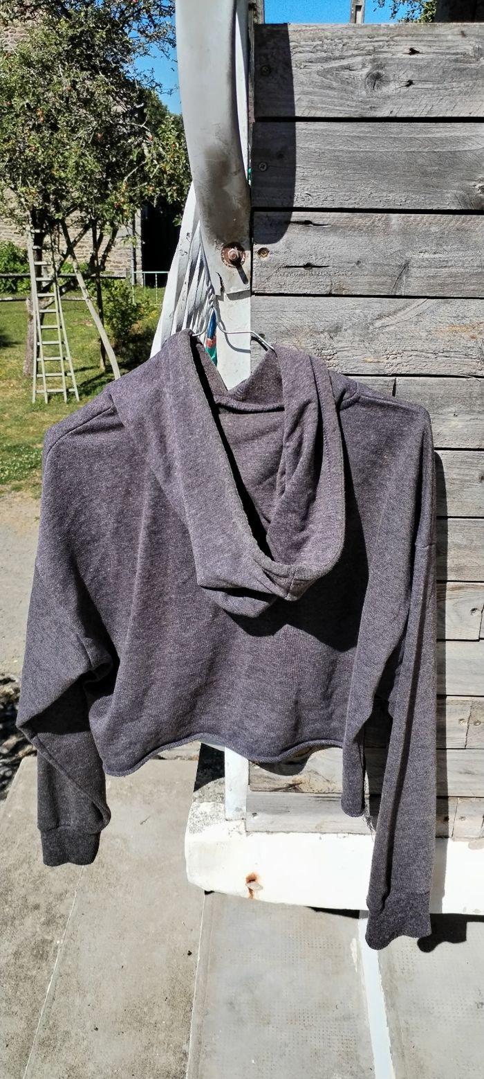 Sweat à capuche pour femme - photo numéro 2