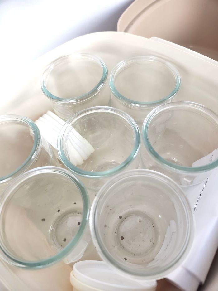 Yaourtière Tupperware Vintage - Multiservice / Passoire - 7 Pots - photo numéro 4