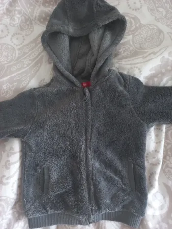Sweat à capuche zippé chaud Tissaia basics 24 mois