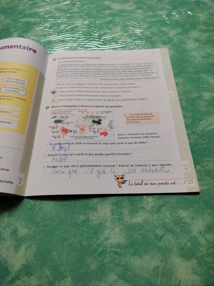 Mini chouette - photo numéro 6